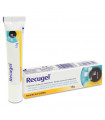 RECUGEL HIDRATACION S OCULAR 10 G