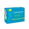 CYSTIPHANE BIORGA (CYSTINE B6 ZN) BAILLEUL-BIORG 120 COMPRIMIDOS