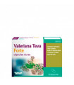 VALERIANA TEVA FORTE 30 CAPSULAS DURAS