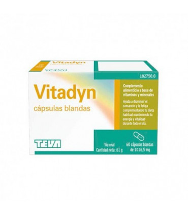 VITADYN 60 CAPSULAS BLANDAS