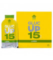 GLUC UP 15 FAES FARMA SABOR LIMON 10 STICKS