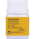 VALERIANA BOTANICAPHARMA 500 MG 60 CAPS