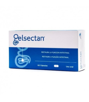 GELSECTAN 60 CAPSULAS