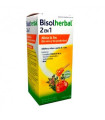 BISOLHERBAL 2 EN 1 JARABE 180 G