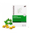 AROMAFORCE CAPSULAS NARIZ GARGANTA 30 CAPSULAS