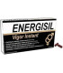 ENERGISIL VIGOR INSTANT 10 CAPSULAS