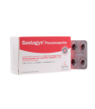 GESTAGYN PRECONCEPCION 30 CAPSULAS