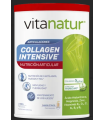 VITANATUR COLLAGEN INTENSIVE 1 ENVASE 360 G