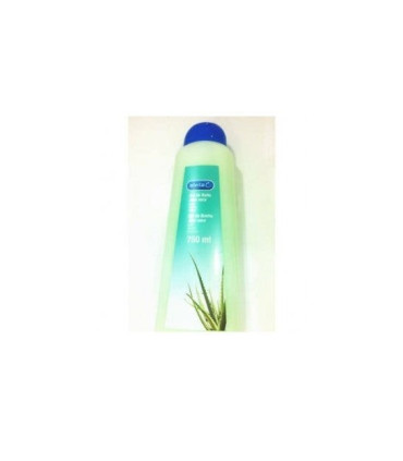 ALVITA GEL ALOE VERA  750ML NU