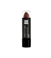 SOIVRE COSMETICS PRETTY LIPS 1 ENVASE 3,5 G COLOR BROWN