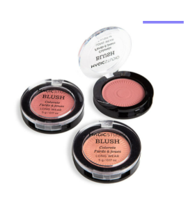 AQUARIUS MAGIC STUDIO ESSENTIAL BLUSH -24602